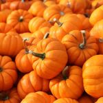 The health benefits of pumpkin