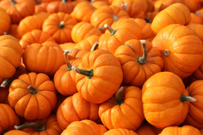 The health benefits of pumpkin